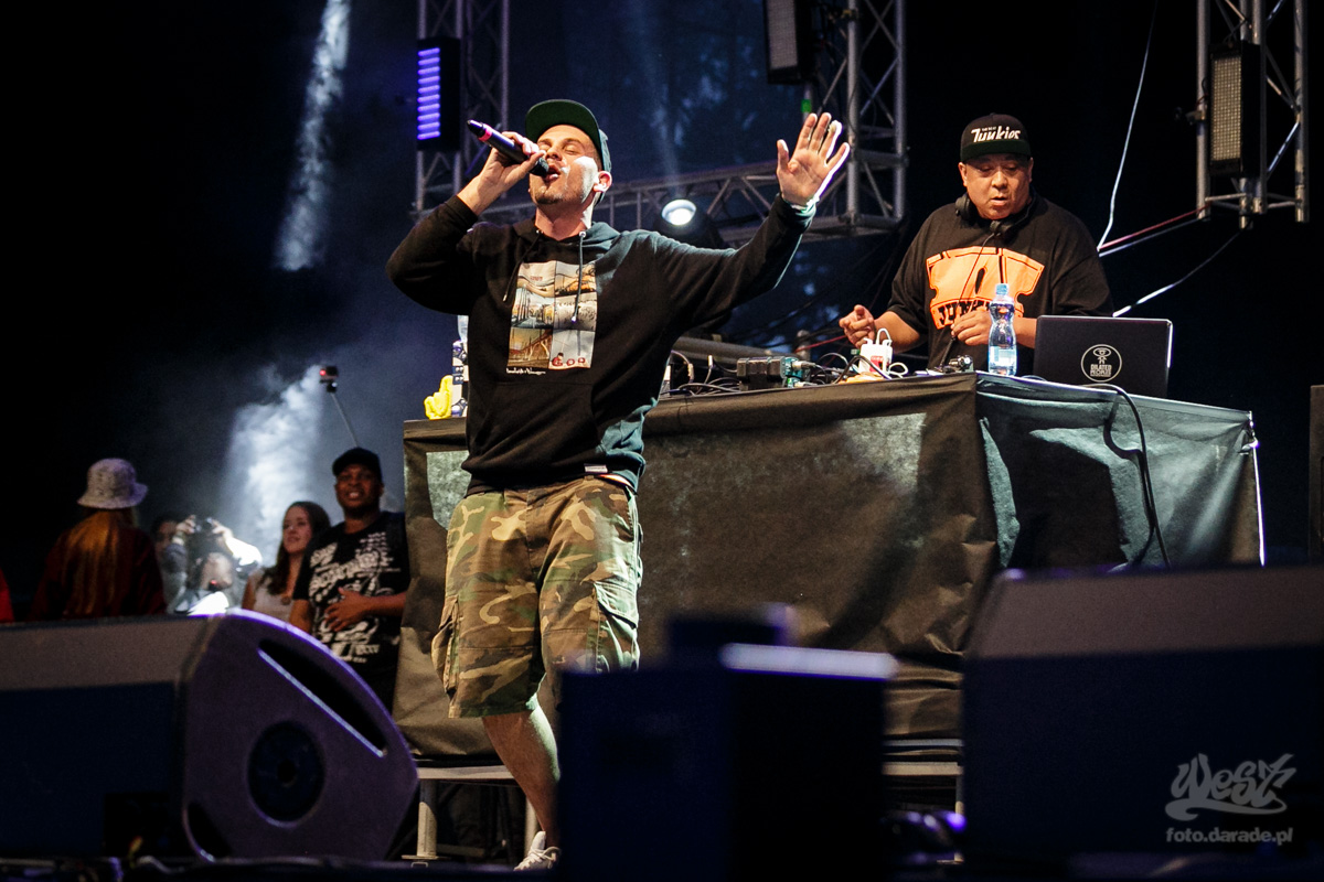 #11 Evidence x DJ Babu, Hip Hop Kemp, 2015